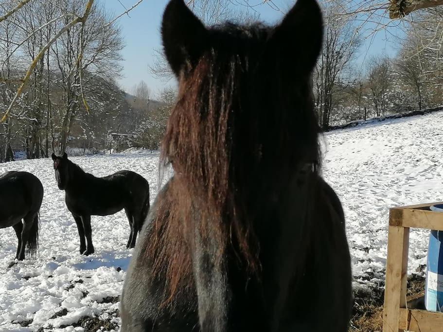 Les Merens Baulou Eksteriør bilde